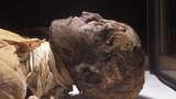 Hé lộ cái chết khủng khiếp của pharaoh Ramesses III 